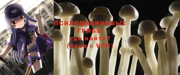 эйфоретик Нефтегорск
