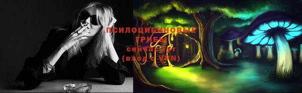 экстази Новозыбков